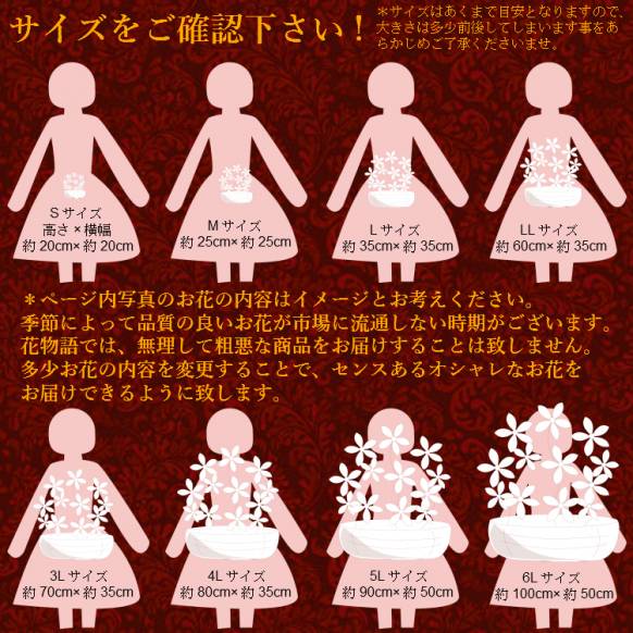 デザイナーおまかせ季節の旬なアレンジメントMサイズ～明るい感じでおまかせ～
